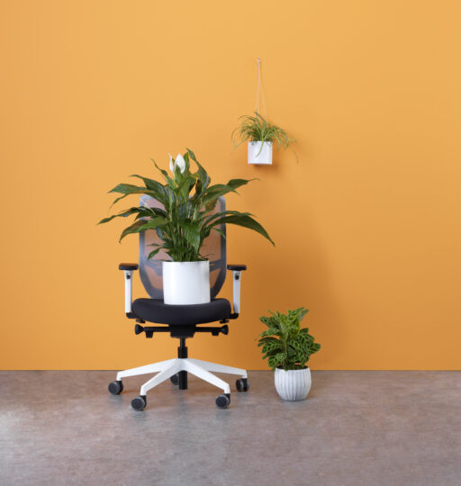 bildstadt – Hali Imagefotografie orange Wand Bürostuhl und Pflanzen